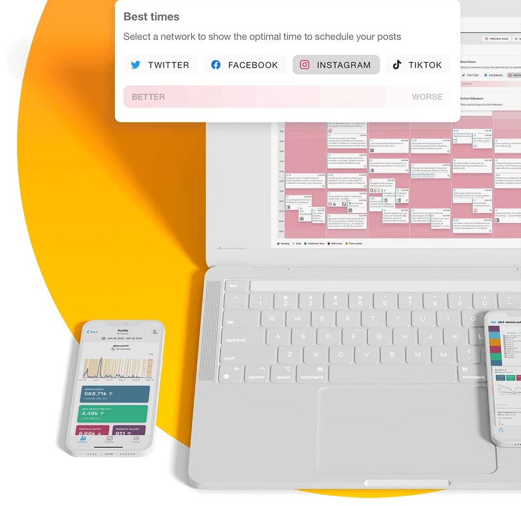 Screenshot of Metricool