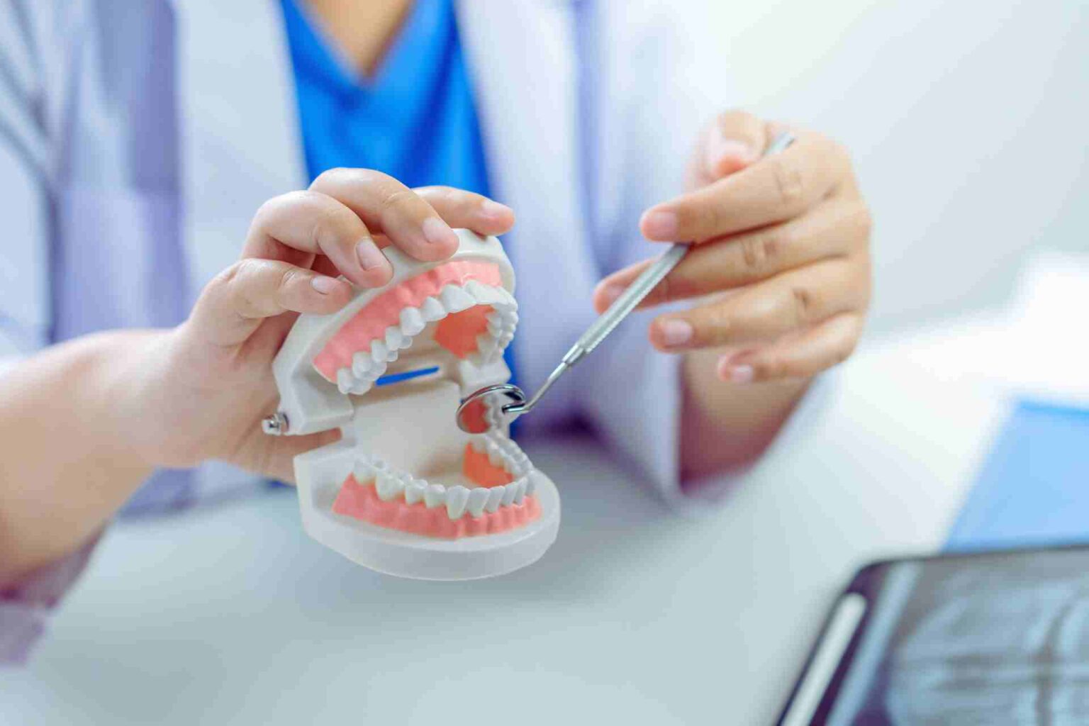 How many molars do we have 